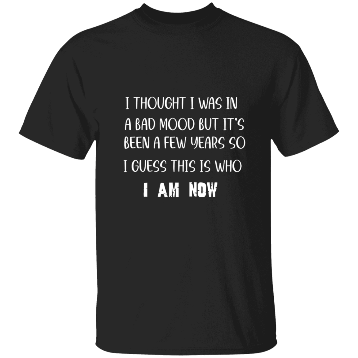 G500 5.3 oz. T-Shirt